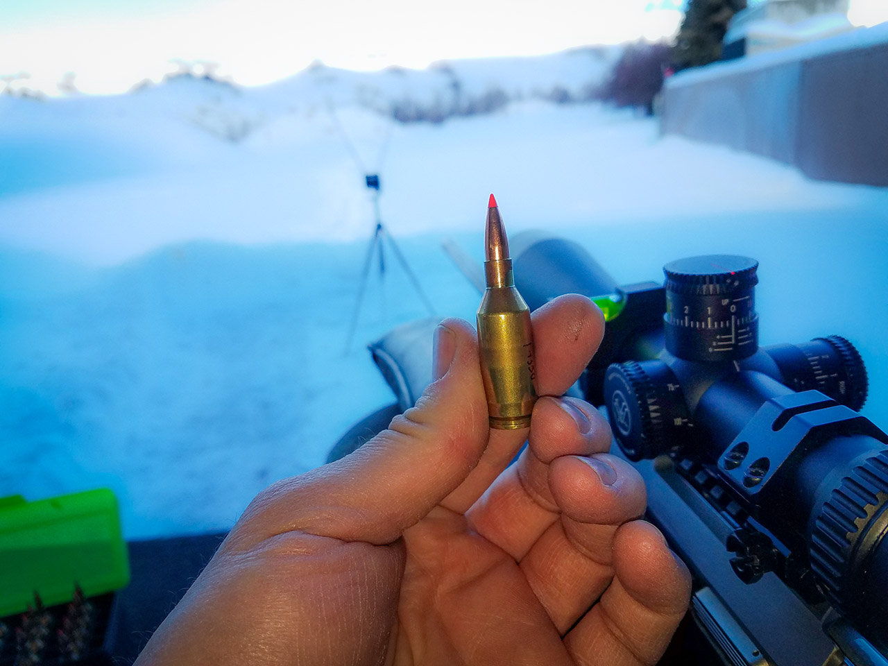 243 WSSM Browning A-Bolt